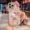 Cartoon Diamond 3D Bow Kitty iPhone Case Bling Glitter Clear Back Cover With Phone Charm