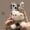 Cute 3D Bow Scarf Kitty Phone Case With Kickstand